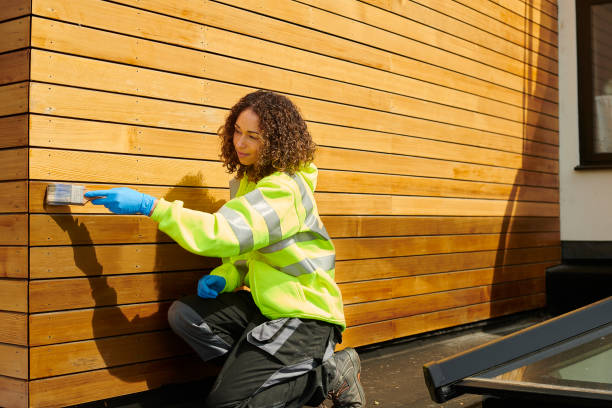 Best Historical Building Siding Restoration  in Rustburg, VA